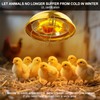 S SHUN CAN DA Heat Lamp for Chicken Coop, 300