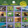 FLINK Juego de Memoria Animal 60 Cartas