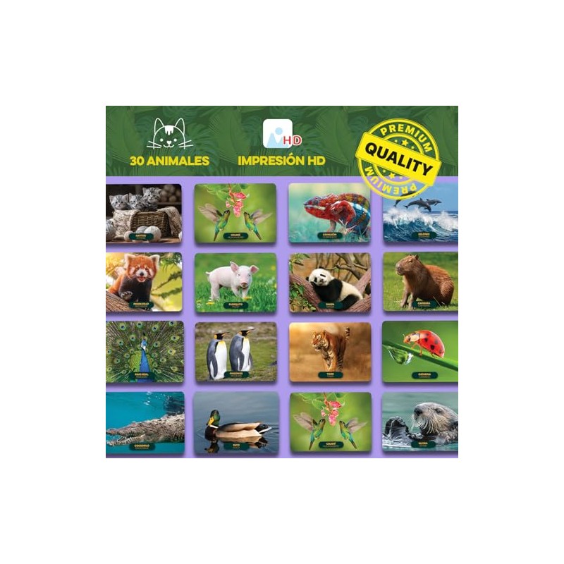 FLINK Juego de Memoria Animal 60 Cartas