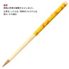 Akashiya AR-04ST Adult Calligraphy Set, Echizen Lacquer, Black, Dragonfly, Small