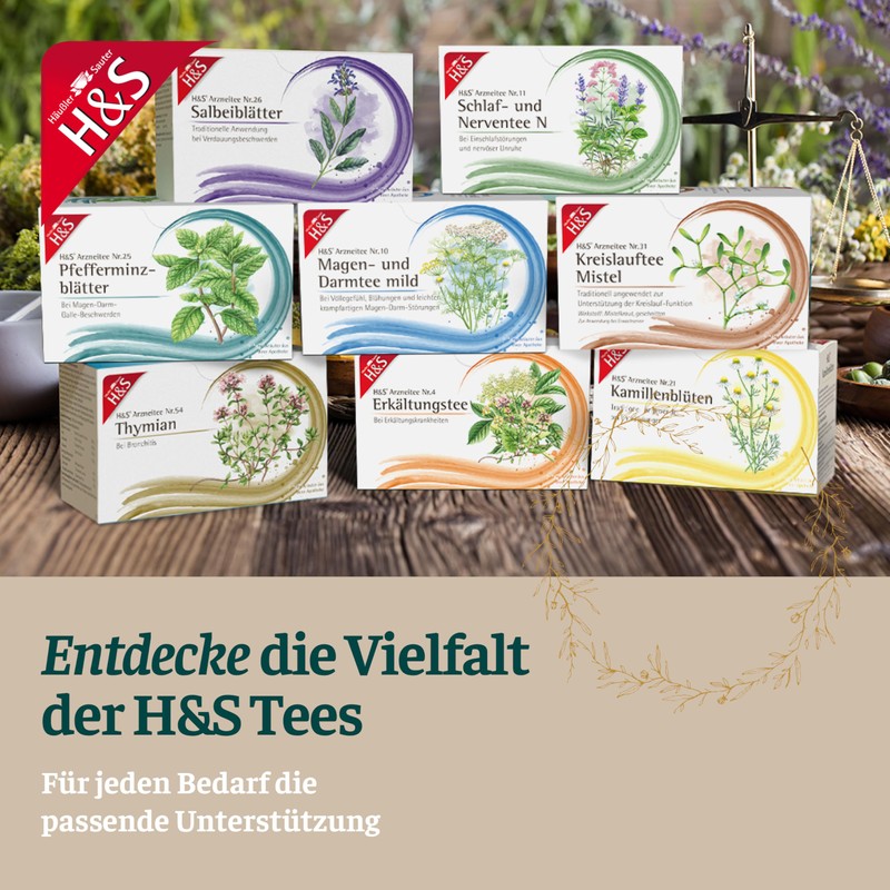H&S Peppermint Leaves: Medicinal Tea No. 25 Peppermint Tea for