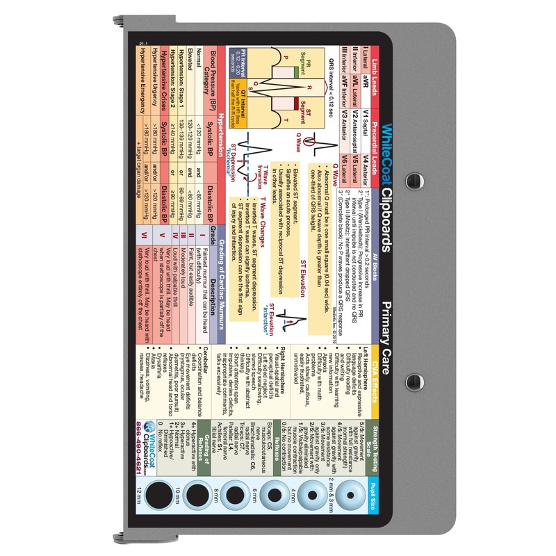 Whitecoat Clipboard® - Primary Care Edition (Silver, Bifold)