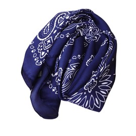 FAIRYGATE Schal Blau Damen Kopftuch Seide Schal Damen Halstücher Seidentuch Schals Halstuch Damen Seide Seidenschal Scarf Bandana Taschentuch Ansatz Handgelenk Kopftücher DA2213