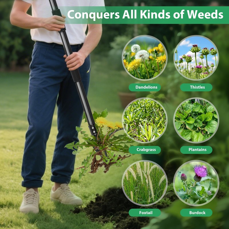 SHAWTY 4-Claw Steel Weed Puller Tool, Heavy Duty Stand Up
