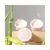 (100% Pure) Bamboo Blur Powder 5.5g / (100프로퓨어)뱀부 블러 파우더