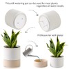 Nihow Self Watering Plant Pot: 6 Inch Ceramic Planter with