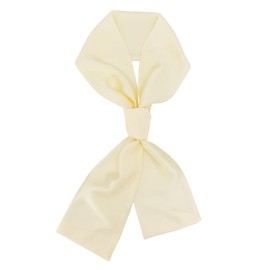 vimate Cream Satin Scarf for Women-Spring Summer Fashion Silk Feeling Hair Scarf Accessories Long Neck Scarf (Style 46-Cream)