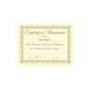 Southworth CTP2V Premium Certificates Ivory Spiro Gold Foil Border 66