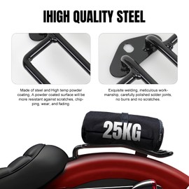 DREAMIZER Solositz Luggage Rack Compatible with Harley, Chrome Motorcycle Rear Mudguard Carrier for Sportster XL883 1200 2004-2015 (Chrome)