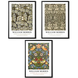 William Morris Set of 3 Art Prints - Anemone, Strawberry Thief, Brer Rabbit - Famous Artist Pictures Available in a Variety of Sizes (Set 4, A4 Print Only)