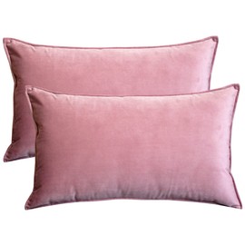 Lutanky Pack of 2 Velvet Cushion Covers Pink Decorative Rectangle Throw Pillow Case Soft Flanges Pillowcases for Sofa Bedroom with Invisible Zipper 12x20 Inch 30 x 50 cm