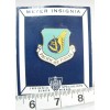 USAF Air Force Pacific PACAF Security Police SP Beret Crest
