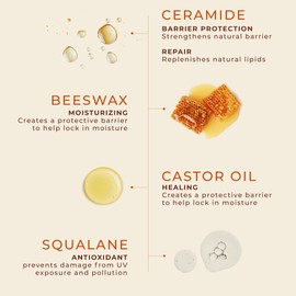 Unscented Lip Balm Hydrating for Dry Lips - Nourishing Lip Moisturizer with Castor Oil and Beeswax, Chapped Lip Repair, Restores Smoothness, Barrier Protection, Fragrance-Free and Gentle