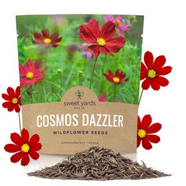 Dazzler Cosmos Wildflower Seeds - Extra Large 1 Ounce Packet - Over 5,000 Fresh Open Pollinated Non-GMO Flower Seeds - Stunning Bright Petals - Drought Tollerant