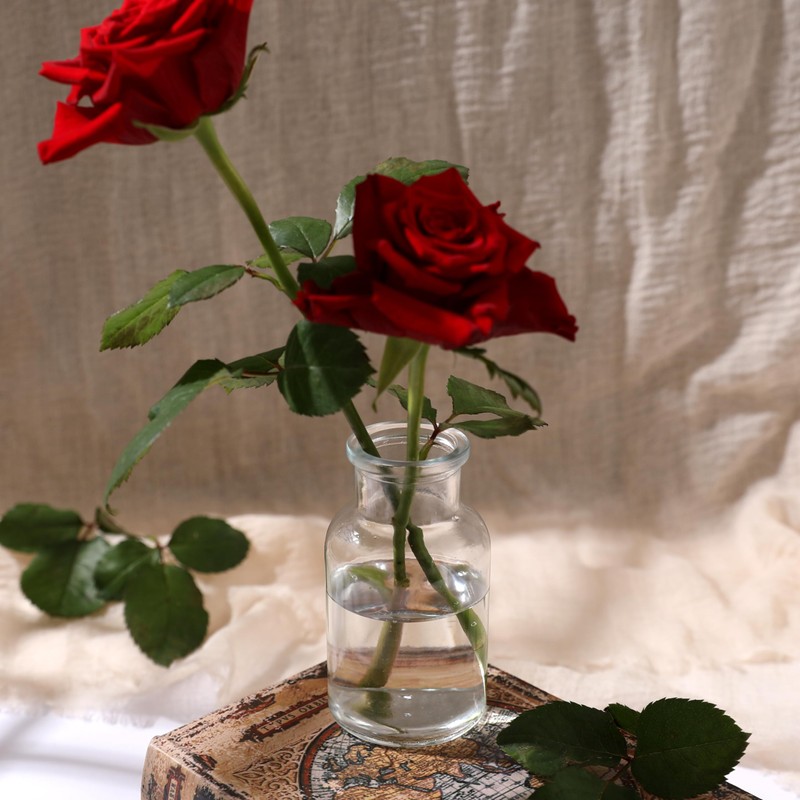 Magic Season Decorative Glass Bottles with Cork Stoppers (5 fl