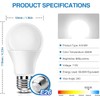 Neporal Full Spectrum Light Bulb, 6000K UV-Free Daylight Sunlight Light