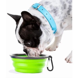 Pupware™ Collapsible Doggie Dish - Color: Blue