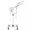 ArtistHand 2IN1 Facial Steamer 5x Magnifying Lamp Hot Ozone Salon