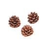 Natural Pine Cones 12Pc - Crafts for Kids and Fun