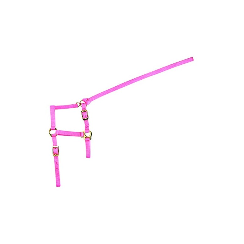 Unbekannt Nylon Equi Economy Pack, Pink