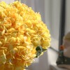 Tifuly Yellow Hydrangea Artificial Flowers - 5 pcs Realistic Single