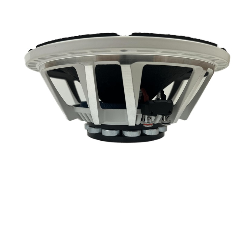 Resilient Sounds NEO 10 500w rms 4ohm 10" Speaker