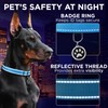 TECEUM Reflective Pet Collar – Sky Blue – XS –