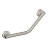 Moen Brushed Nickel Bathroom Safety 16-Inch Stainless Steel Angled Shower