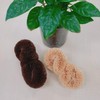 Turtle Baby Cleaning Washing Scrubber More Than Brown 10028172 