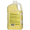 stearns packaging corporation st0016-db-gl10 Heavy Duty Dairy Utensil Cleaner, 1