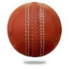 Cricnix クリケットボール スーパーPVC ソフトオレンジ (ボール1個入り) 裏庭と子供用 (1-Pack)