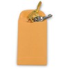 500 Guardian #4 Paper Coin Envelopes - Blank Small Envelopes
