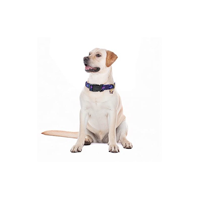 Collares de perro con hebilla ajustable para perros lindos, collar