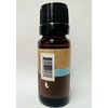 All Natural Fragrance Oils - Sea Mud - 10ML