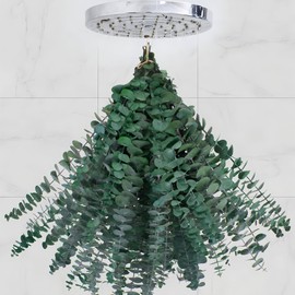 30pcs Eucalyptus for Shower,Dried Eucalyptus Bundle -17in Real Eucalyptus Stems,100% Natural Eucalyptus Leaves Greenery Stems & Aromatic Shower Plant, Home Decor