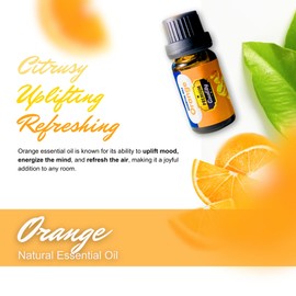 Labambi Valley 100% Pure Essential Oils for Diffusers, Home Care, Car, Hair & Massage, Candle Making Scents, Fragrance, Aromatherapy, Humidifiers, Gifts - (10 ml (0.33 oz), Orange)