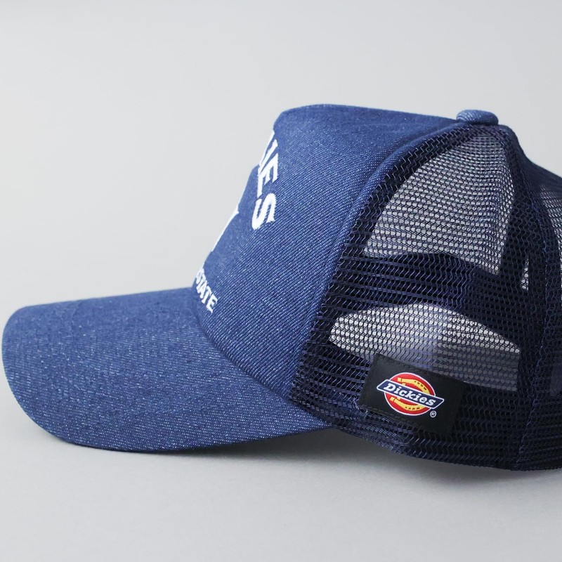 Dickies Men's Mesh Cap, Hat, Original, Logo, Unisex, Color, Black,
