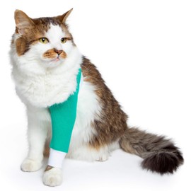 VetMedWear Shoulder Protective Sleeve for Dogs - E-Collar Alternative - After Surgery Wear - for Hot Spots, Wounds, Bandages, and Other Skin Conditions (XS - Long Sleeve, Teal Green)