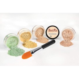 Concealer & Corrector KIT with Brush Mineral Makeup Set Bare Skin Matte Powder (20 gram Sifter Jars, Dark Concealer)