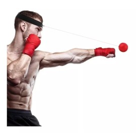 OEM Entrenamiento De Box Velocidad Reflejos Con Pelota 2 Niveles