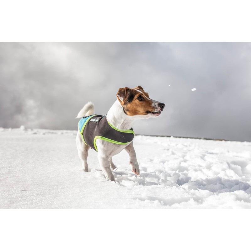 Julius-K9 IDC Neoprene Dog Clothing
