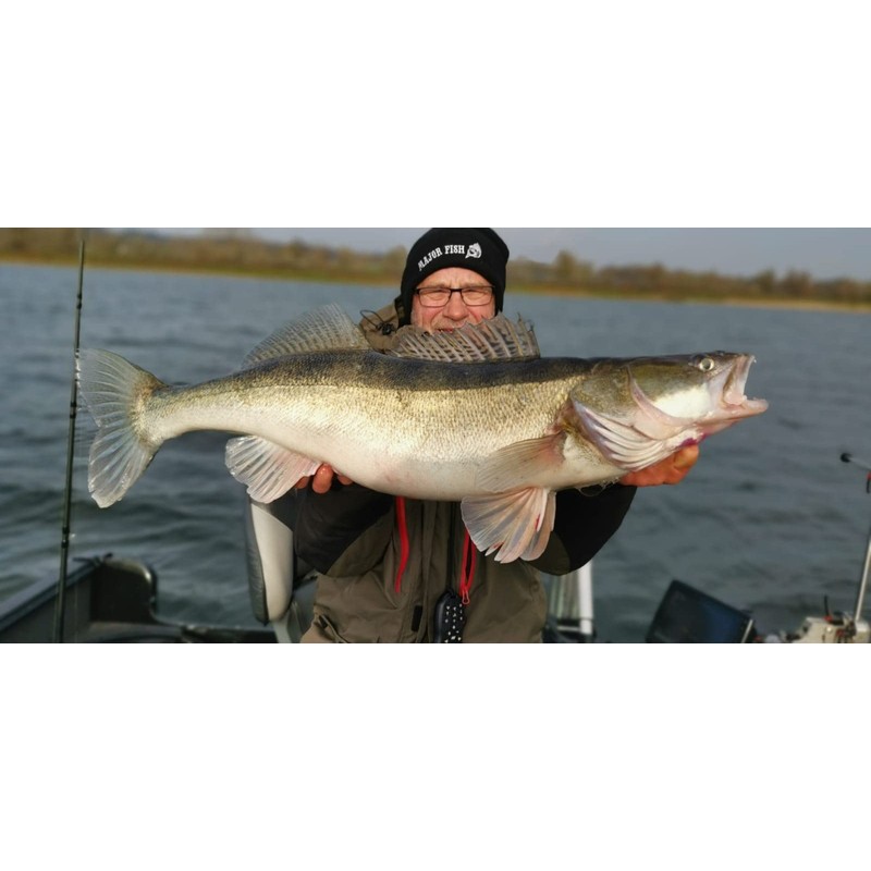 Major Fish Zander Wobbler Airbrush Hot Colours Zetti 10 cm