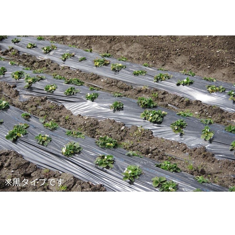 daio化成 Black Multi 0.02 mm 95 cm X 10 m