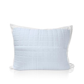 King Size Cooling Gel Pillow Protector - Zippered Cooling Pillow Case for Hot Sleepers, Effective Long Lasting Heat Relief