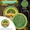 Rooted in Christ Christian Challenge Coins Tree of Life Jesus