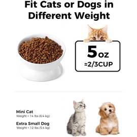 LoeJan Elevated Cat Food Bowl, 5 Oz Ceramic Raised and Tilted Water Bowl, Anti Vomiting and Protect Pets' Spines Dishes for Small Dog, Fat Faced Cat, Kitten (White, 4 Pack)