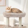 FISH&NAP Cute Cat Tree Kitten Cat Tower for Indoor Cat