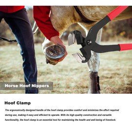 Docdciy 14 inch Farrier Tools,Professional Farrier Tool Kits Horses Hoof Trimmers Tools Suitable for Hoof Trimming for Horses Cows, Sheep, Donkeys and Other Medium Sized Animals Rasp Hoof Cutter Set