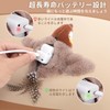 Interactive Cat Toy, Flying Bird Cat Toy, Bird Shaped Cat