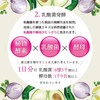 ISDG diet酵素 232種類野菜＆果物発酵凝縮 植物酵素 乳酸菌発酵 燃焼成分配合 120粒 2個セット